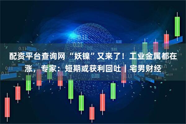 配资平台查询网 “妖镍”又来了！工业金属都在涨，专家：短期或获利回吐｜宅男财经